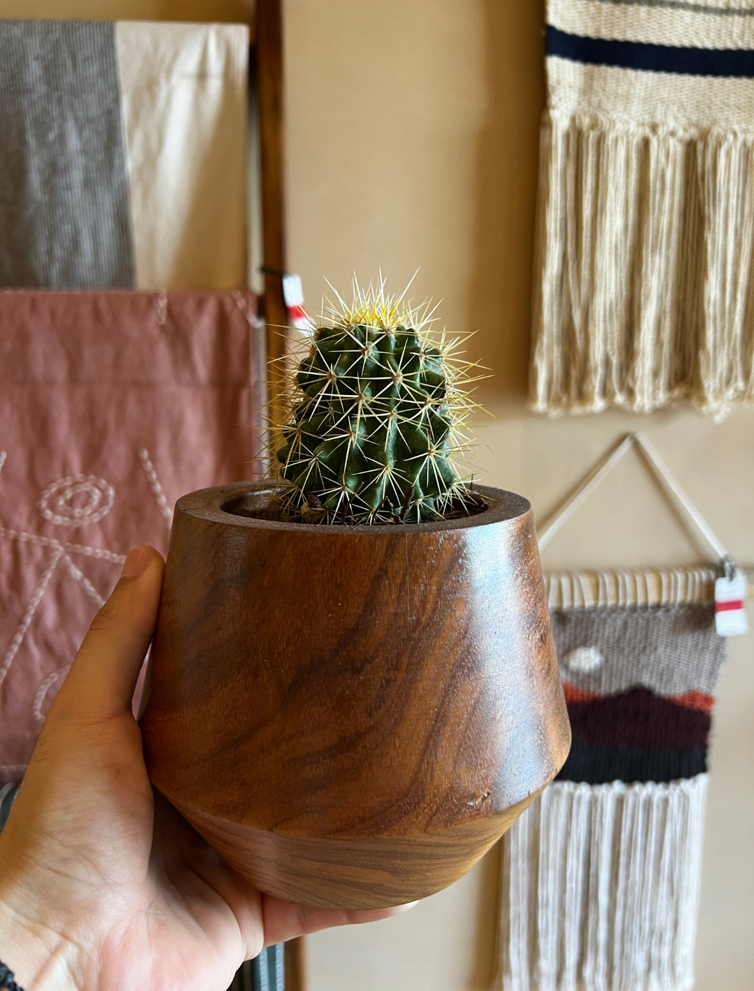 Maceta Tzalam - Sakal Macramé