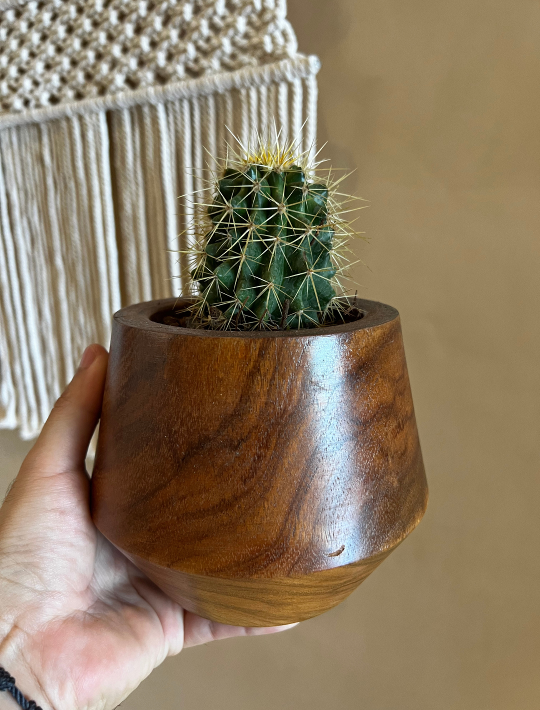 Maceta Tzalam - Sakal Macramé