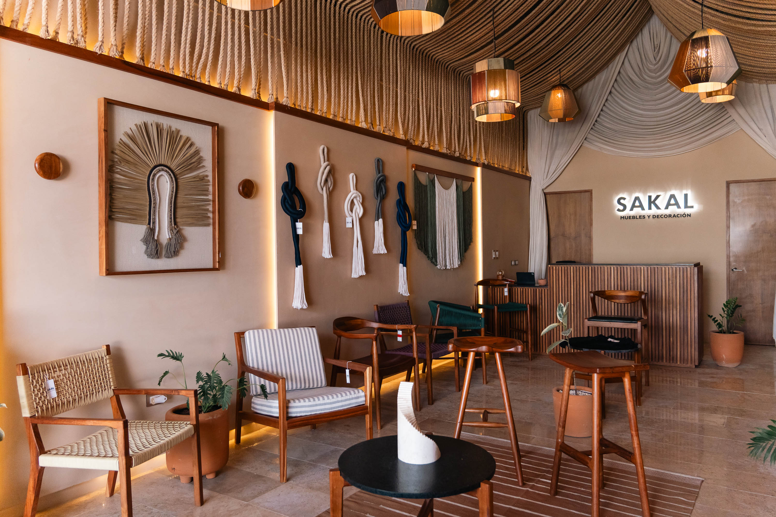 Cuadro Decorativo Palma U