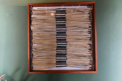 Cuadro Palma - Sakal Macramé